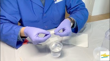 Water surface tension paper clip