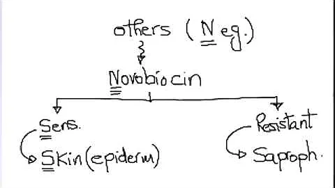 TA7 MICRO USMLE HIT 1:   Gm + lab algorithm