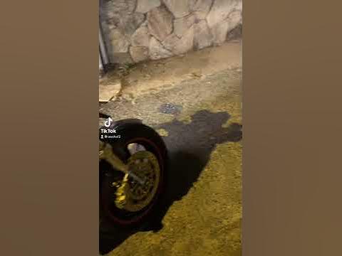 honda hornet silencer guard