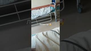 Литвин в Больнице