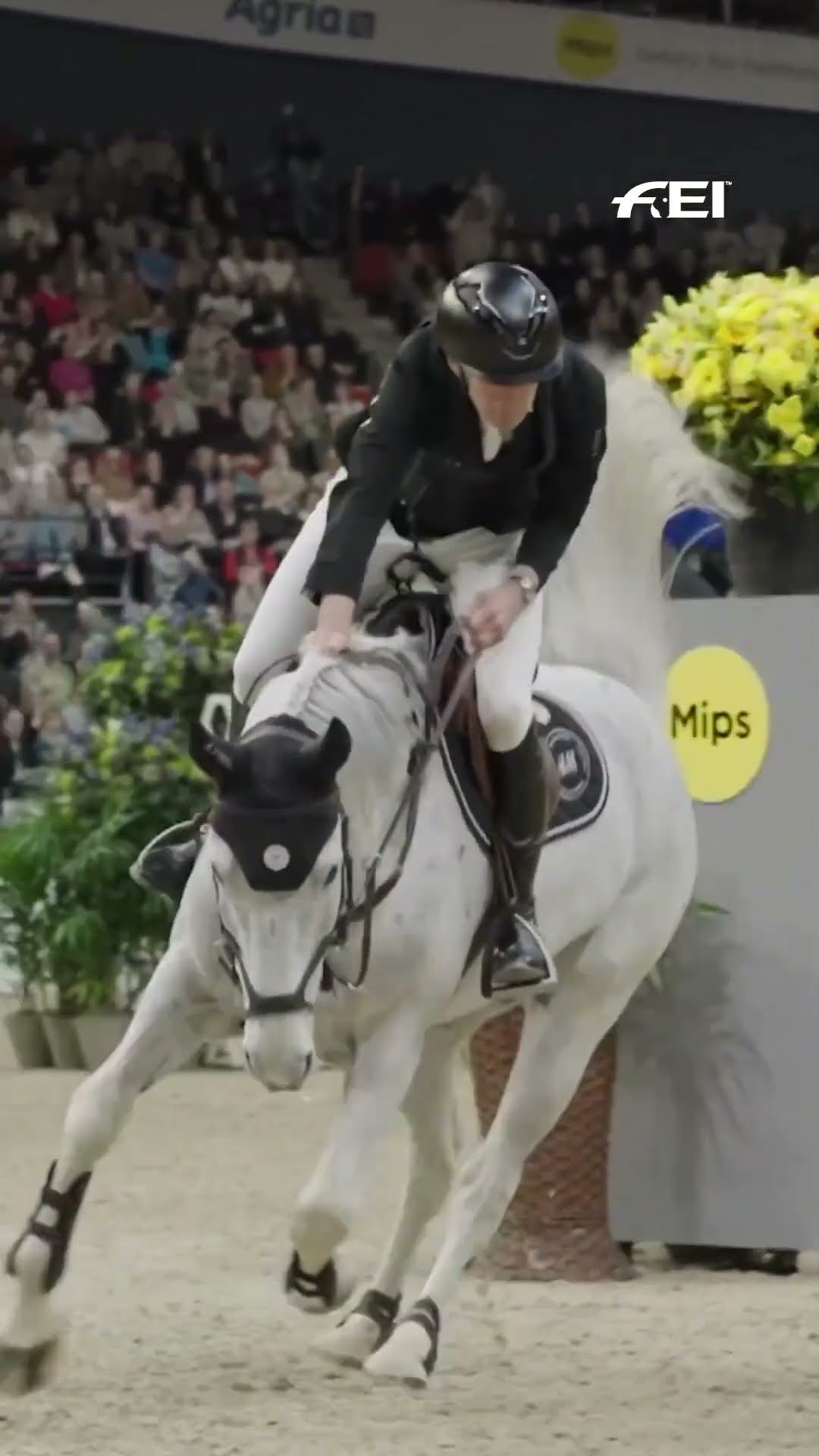 RE-LIVE | Longines FEI Jumping Nations Cup™ 2019 | Dublin (IRE) | Longines Grand Prix