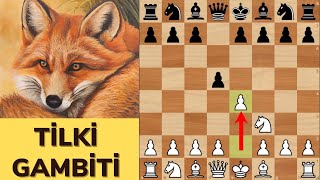 TİLKİ  (TENNISON) GAMBİTİ - MÜTHİŞ BİR AÇILIŞ SİLAHI! screenshot 4