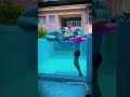 Officer Rabbit also wants to go swimming#Short #Officer Rabbit #angel
