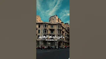 متر في متر فارس قطريه Shorts 