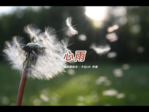 心雨  (鄧瑞霞版本)(粵語)(卡拉OK伴奏)(懷舊金曲)