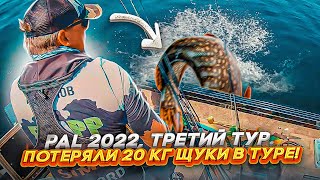 ПОТЕРЯЛИ 20 КГ ЩУКИ В ТУРЕ! Подсечка 360 по-Юргановски. PAL 2022