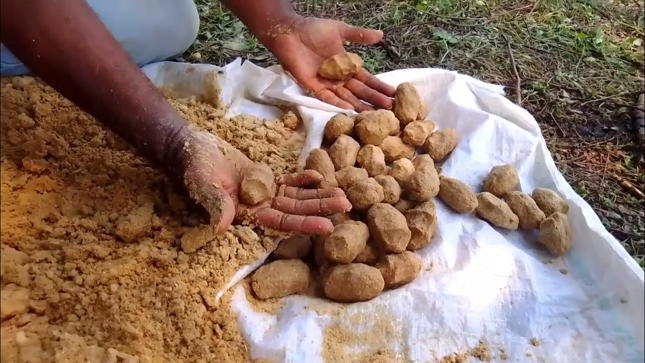 How to make fishing baits wheat flour and rice palice mix for Carp fishing baits through