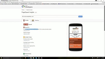 Google PageSpeed Insights Overview