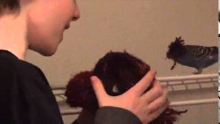 Kyle Catlett And Ts Version 2 Episode 1 Birdgeist