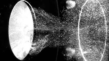 creating a vortex ring the way dolphins do it