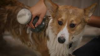 PawSpa ShampoochPro Pet Washer