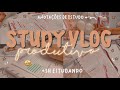 STUDY VLOG | voltando a rotina de estudos produtiva (+3h estudando)