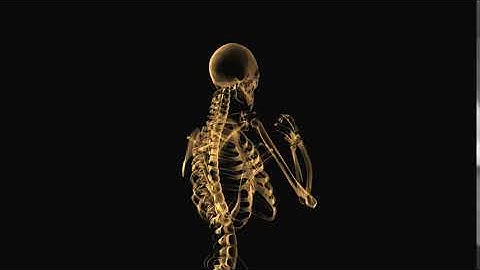 Skeleton Production Element | Motion Background Animation HD | No Copyright Videos.