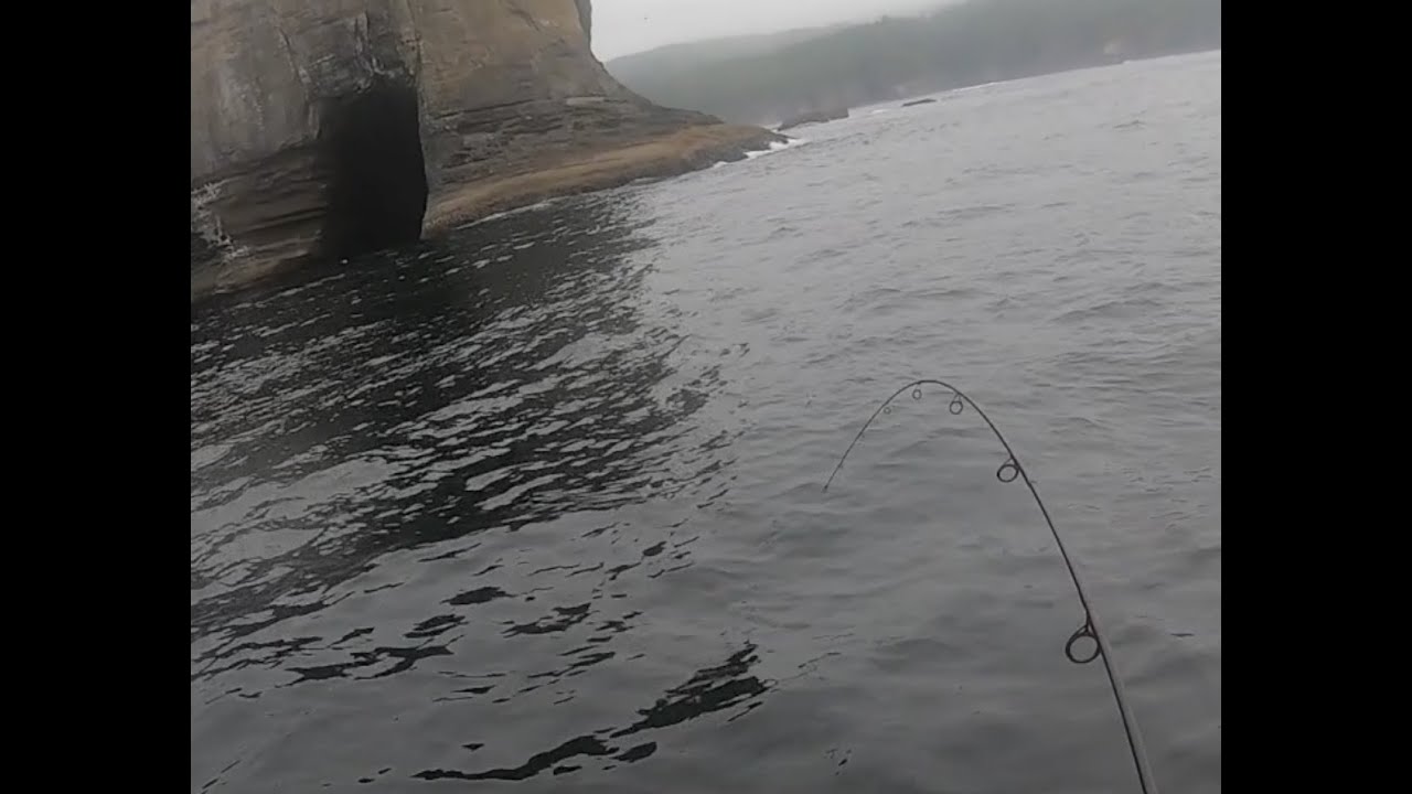 Tatoosh Island Fishing - Unknown Monster