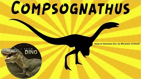 Compsognathus: Dinosaur of the Day