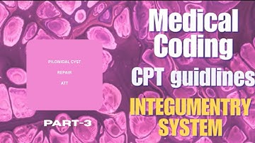 CPT-Integumentory system guidelines-part-3