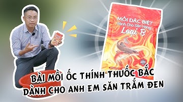 Bài mồi ốc thính thuốc bắc săn Trắm đen