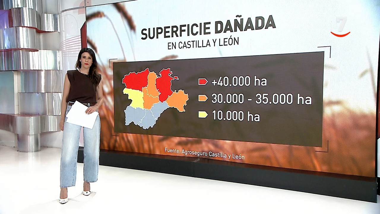 CyLTV Noticias 14:30 horas (23/06/2026) | Lengua de signos