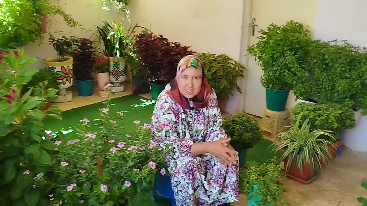  أهم الخطوات الضرورية للعناية بالنباتات المنزلية في فصل الخريف مع أمي إيطو 