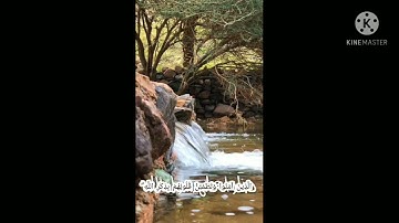 أَلَا بِذِكْرِ اللَّهِ تَطْمَئِنُّ الْقُلُوبُ. الآية {28} من "سورة الرعد".