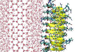 Barrel Antifreeze Protein At The Waterice Interface