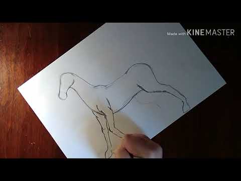 Как нарисовать лошадь поэтапно карандашом для начинающих видео уроки