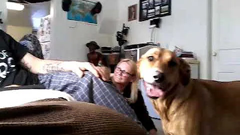 My cute dogy