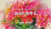 7月15日 誕生花 イソトマ Youtube 7月15日 誕生花 イソトマ Youtube