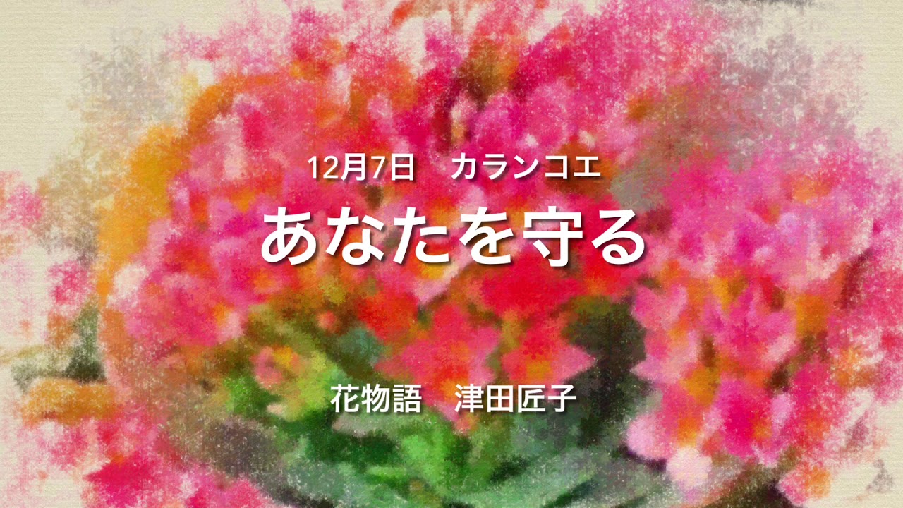12月7日 誕生花 カランコエ Youtube