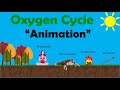 OXYGEN CYCLE | Biology Animation