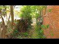 This is the best yard transformation on youtube  guaranteed