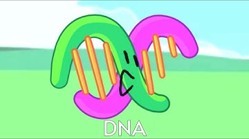 How to find DNA in (Find The BFB Characters)