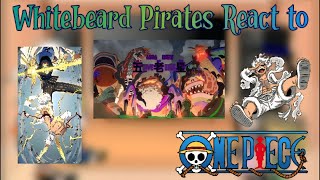 One Piece (Whitebeard Pirates) React to Egghead Arc (Luffy Gear 5 vs Gorosei) Part 5