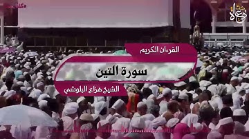 سورة التين تلاوة الشيخ هزاع البلوشي #القرآن_الكريم