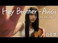 【弾き語り】Hey Brother - Avicii｜Acoustic Cover by 白音碧