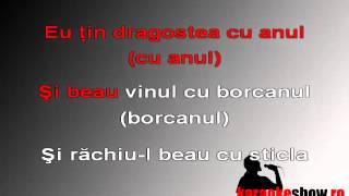 Karaoke  Nicu Paleru  - Eu beau vinul cu borcanul