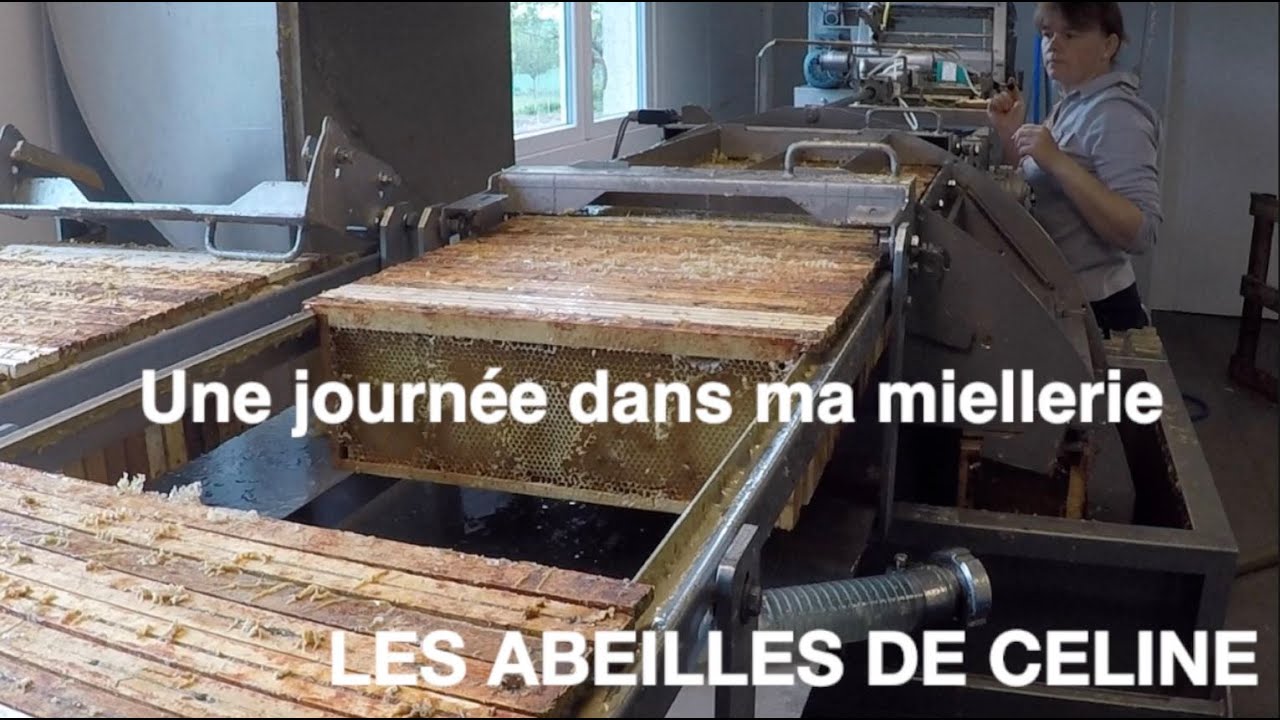 Une journée dans ma miellerie