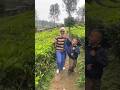 Stelan daboy #viral #shorts