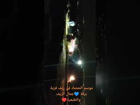 ريفية قرية برقة فلسطين موسم الحصاد