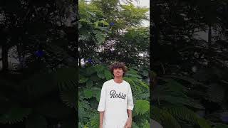 status video Instagram WhatsApp status cute video Adivasi #adiasmr  #videi  v🤗🤗