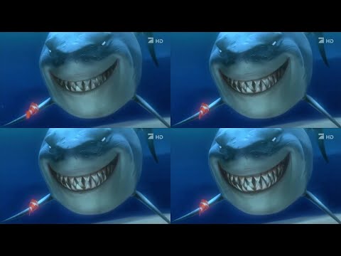Finding Nemo Shark