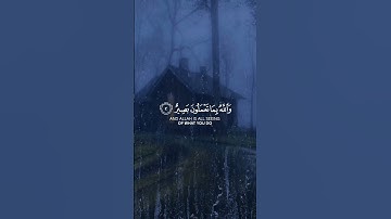 قران كريم مع صوت المطر | راحة نفسية لا توصف