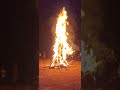 #Holika dahan 2025#jharkhand #viral Shorts