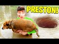 7 YouTubers Who SAVED ANIMALS LIVES! (Preston, Aphmau &amp; PrestonPlayz)