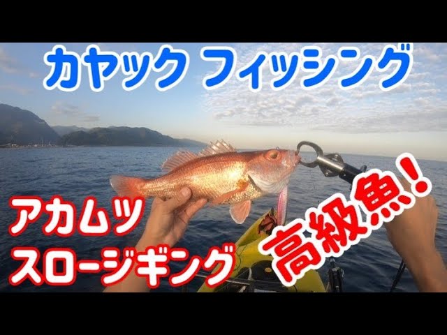 カヤックでアカムツ アカムツスロージギング Youtube