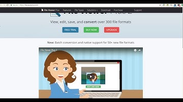 How to open .CFG with Viewer Plus