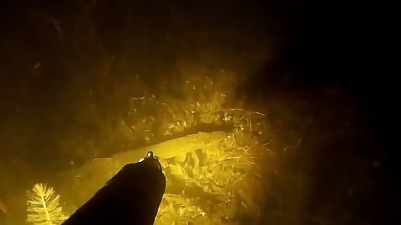 Ночь длинных стволов