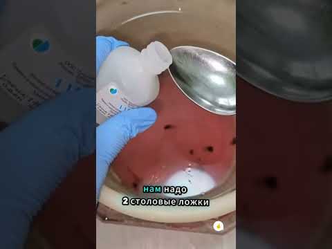 Как получить море море огурцов?