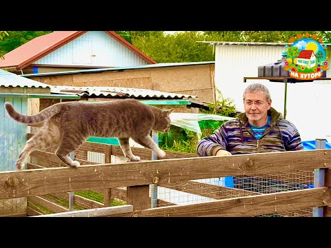 Резиновый ХУТОР! Мы не ожидали, что их будет ТАК много! 