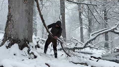 Trapped in the wild forest under heavy snowstorm  Extreme winter survival challenge,fire & bushcraft